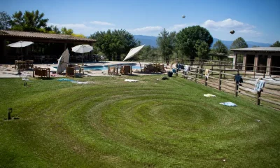 Elicopter aterizat fără aprobare la un club ecvestru din Constanța, clienții au sunat la 112