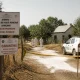 Focar de pestă porcină africană confirmat la Siliștea, județul Constanța